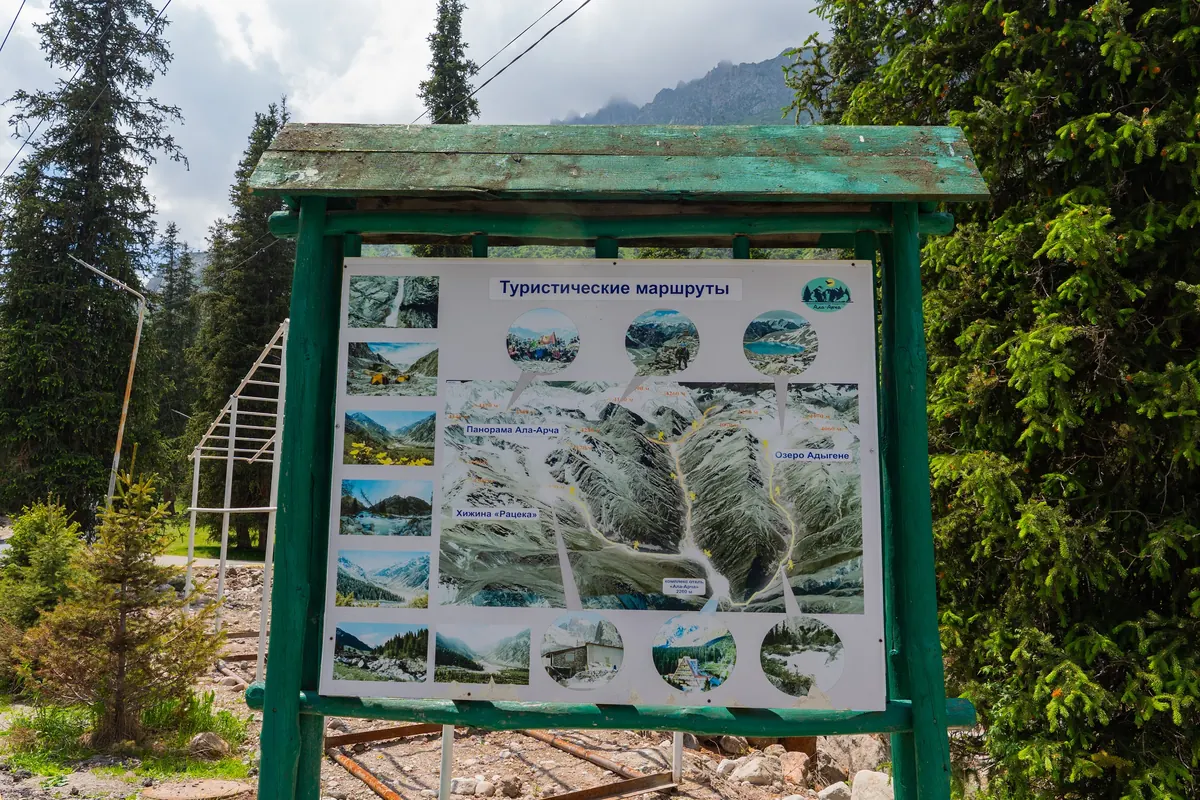 Green wooden information board showing a map of tourist routes, among spruce trees.